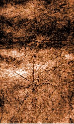 闺媛典  卷237-242 封面