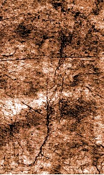 闺媛典  卷250-256 封面