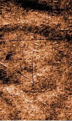 闺媛典  卷299-305 封面