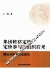 集团转移定价、定价参与和组织后果  理论分析与实证研究 封面