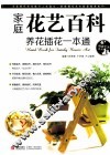 家庭花艺百科  养花插花一本通 封面