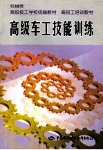 高级车工技能训练 封面