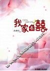 我家有囍  下 封面