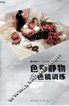 色彩静物小色稿训练 封面