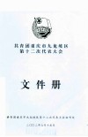 共青团重庆市九龙坡区第十二次代表大会  文件册 封面