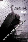 逆游的行魂  史铁生论 封面
