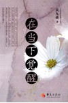 在当下觉醒 封面