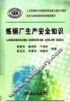 炼钢厂生产安全知识 封面