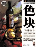 色彩组合静物  色块训练临本 封面