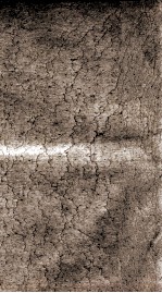 元曲选  47册  碧桃花、张生煮梅 封面