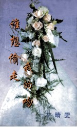谁想偷走我的吻 封面
