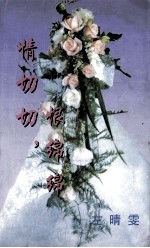 情切切，恨绵绵 封面