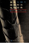各类毛鳞片结构形态电镜图集 封面