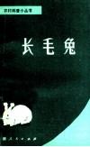 长毛兔 封面