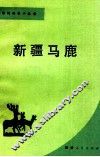 新疆马鹿 封面