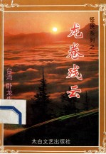 龙卷残云  中 封面
