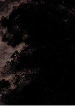 中国当代名家画集  亓秉轩 封面