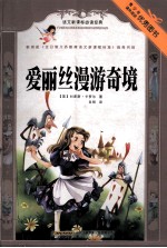 爱丽丝漫游奇境 封面