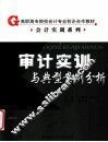 审计实训与典型案例分析 封面