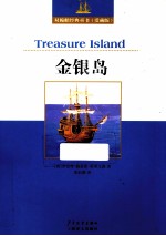 金银岛 封面