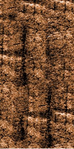 考卷隽快  申 封面