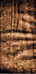 四书文选  钦定启祯四书文  2 封面