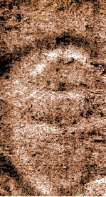 辽海丛书  第6集  清真年谱、稼轩年谱 封面