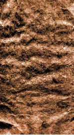 咫进斋丛书  8  大云山房十二章图说、棠湖诗稿 封面