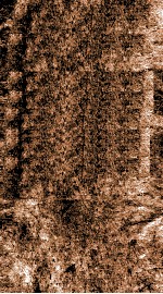 船山遗书  丞厘实录  卷12-19 封面