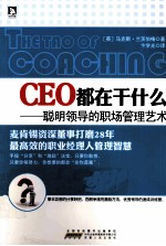 CEO都在干什么  聪明领导的职场管理艺术 封面
