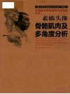 素描头像骨骼肌肉及多角度分析 封面
