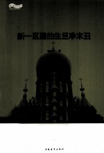 松花江上大型系列文学丛书  新一区里的生旦净末丑 封面
