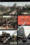 1979-1988东莞十年 封面