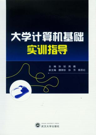 大学计算机基础实训指导 封面