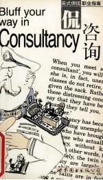 英式调侃职业指南  侃咨询 封面