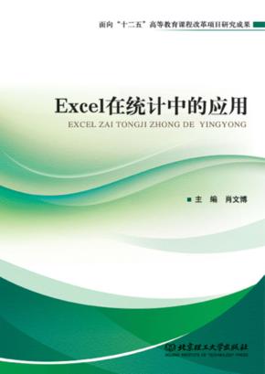 Excel在统计中的应用 封面