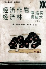 经济林  经济作物栽培实用技术  下 封面