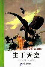 生于天空 封面