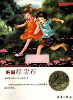 呐喊红宝石  升级版 封面