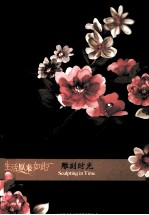 雕刻时光 封面