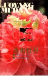 洛阳牡丹 封面