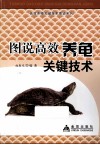 图说高效养龟关键技术 封面