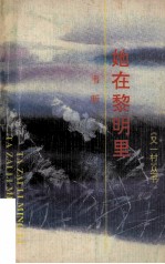 她在黎明里 电子书封面