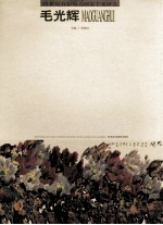21世纪有影响力画家个案研究  毛光辉 封面