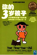 你的3岁孩子  从友善到对着干的年龄，培养创造力不可错过这一年 封面