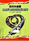 汶川大地震心理与文化重建的实践与思考 封面