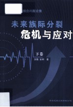 中国民族统合问题论集  未来族际分裂危机与应对  下 封面