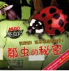 瓢虫的秘密 封面