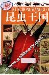 小风车儿童成长百科  昆虫王国 封面