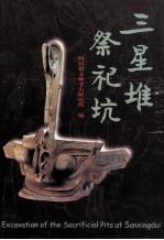 三星堆祭祀坑 封面